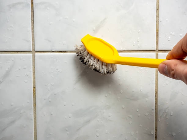 Best Mold Testing  in Panthersville, GA