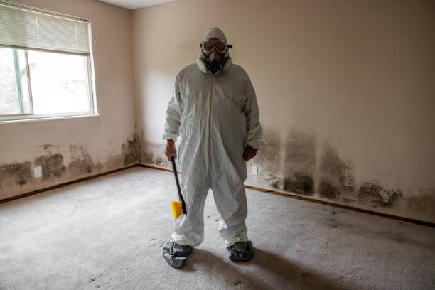Best Fast Mold Removal  in Panthersville, GA